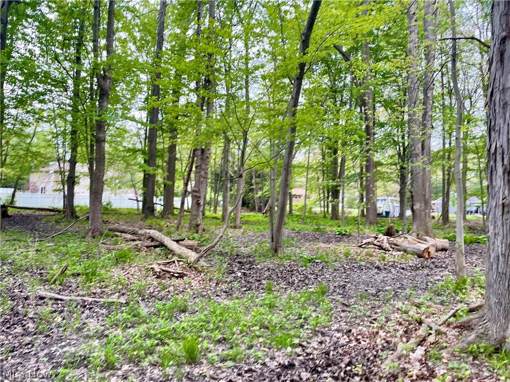 Collins Road Mentor, OH 44060 - Photo 4 of 10