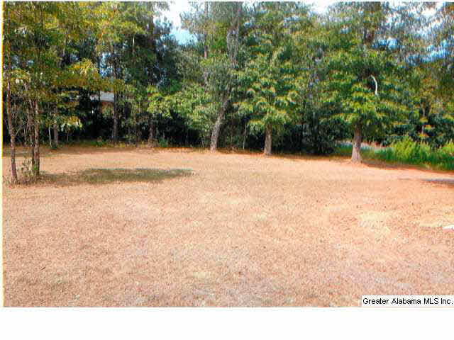 100 Highland View Drive Riverside, AL 35135 - Photo 16 of 16