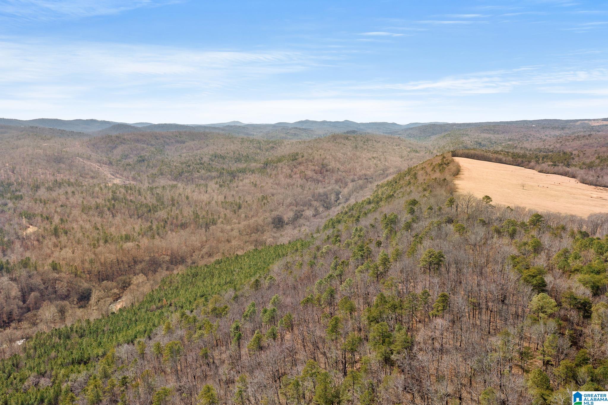 575 Mountain View Lane Springville, AL 35146 - Photo 84 of 84