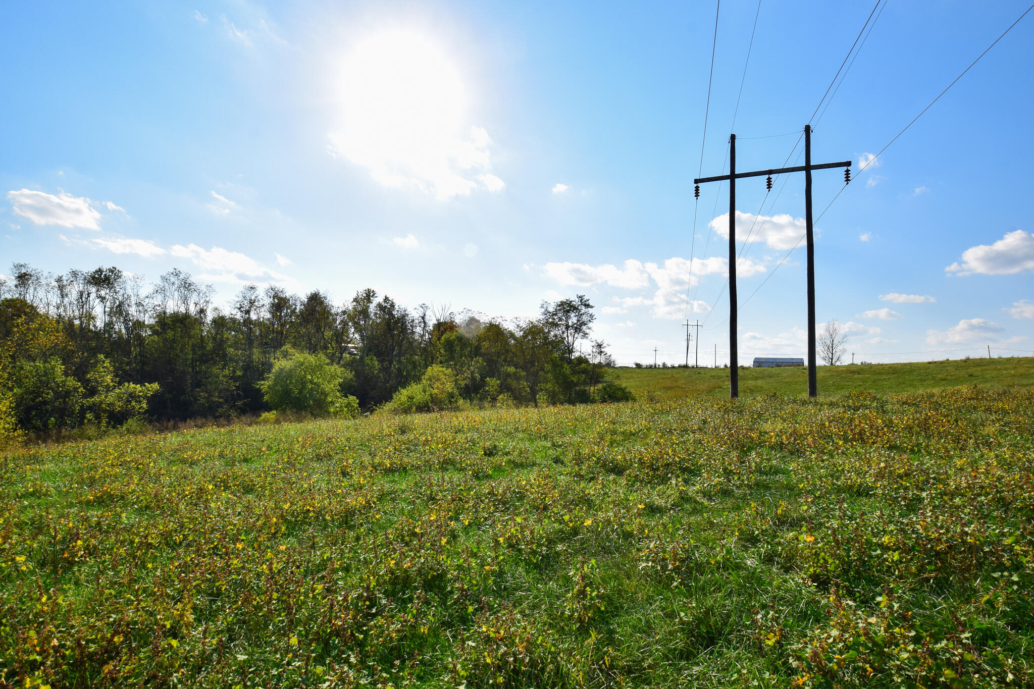 3586 Mt Hebron Road, Unit TRACT #1 Lancaster, KY 40444 - Photo 5 of 6 DSC_0047