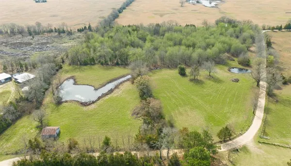 a view of a lake in middle of the forest