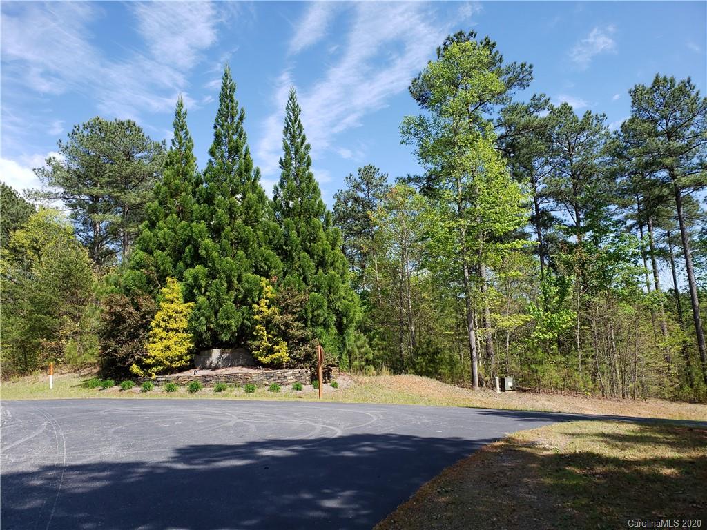 0 Rock Ridge Rd Mill Spring, Unit 2 Mill Spring, NC 28756 - Photo 2 of 12 a view of a yard with plants and trees