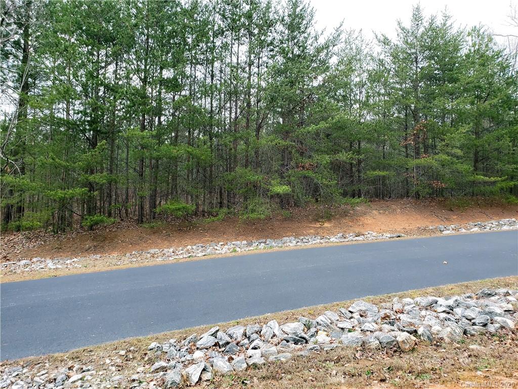 0 Rock Ridge Rd Mill Spring, Unit 2 Mill Spring, NC 28756 - Photo 11 of 12 a view of a yard with a large tree