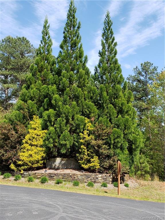 0 Rock Ridge Rd Mill Spring, Unit 2 Mill Spring, NC 28756 - Photo 3 of 12 a view of a yard