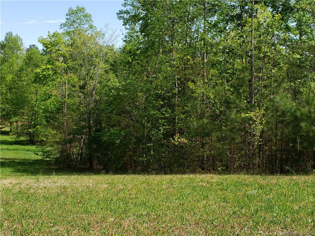 0 Rock Ridge Rd Mill Spring, Unit 2 Mill Spring, NC 28756 - Photo 5 of 12 a view of backyard with green space