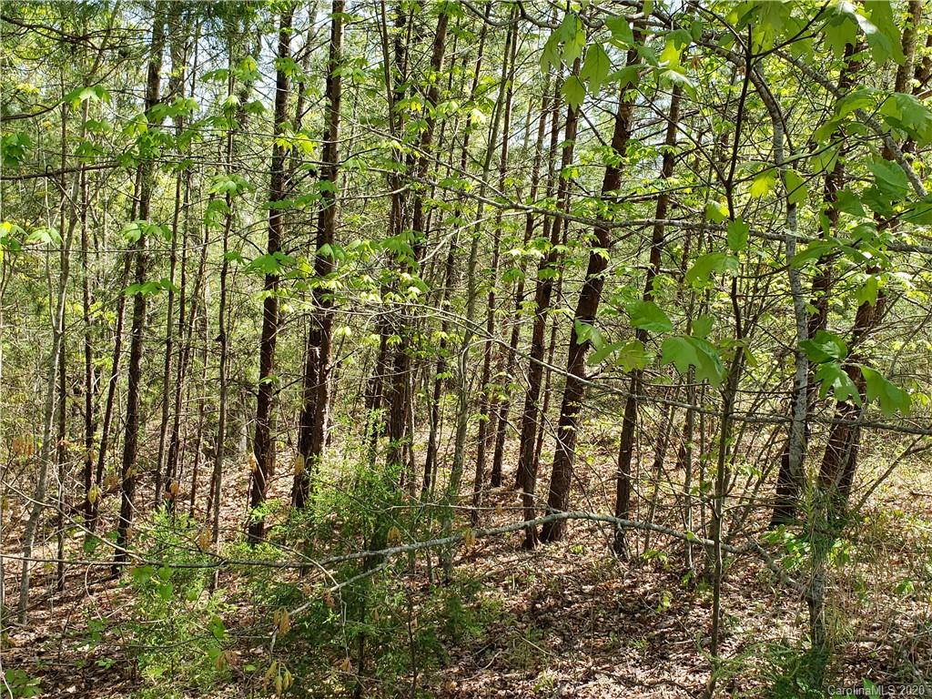 0 Rock Ridge Rd Mill Spring, Unit 2 Mill Spring, NC 28756 - Photo 7 of 12 a view of yard