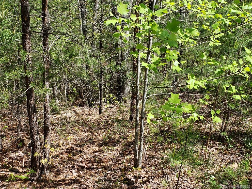 0 Rock Ridge Rd Mill Spring, Unit 2 Mill Spring, NC 28756 - Photo 10 of 12 a view of a forest
