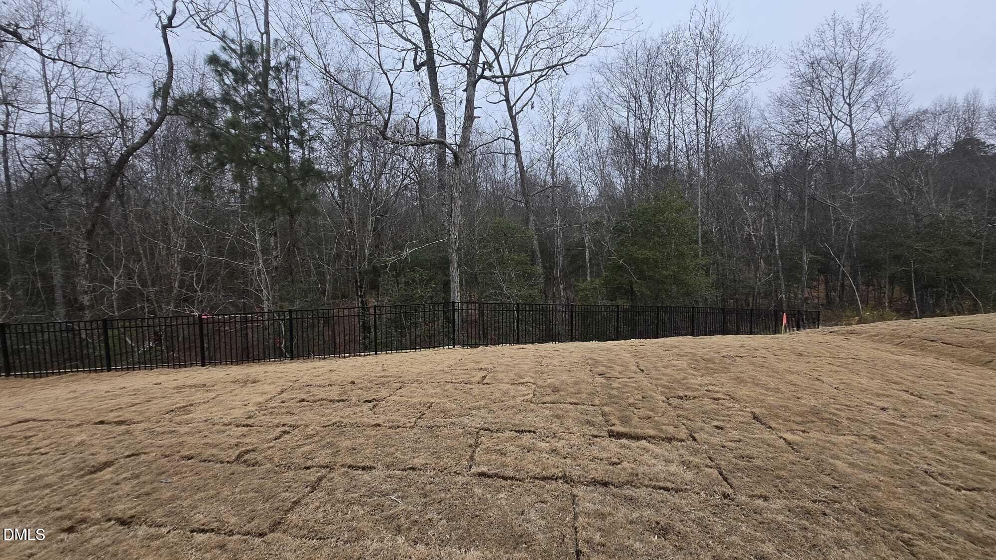 1013 Red Finch Way Angier, NC 27526 - Photo 27 of 36 27