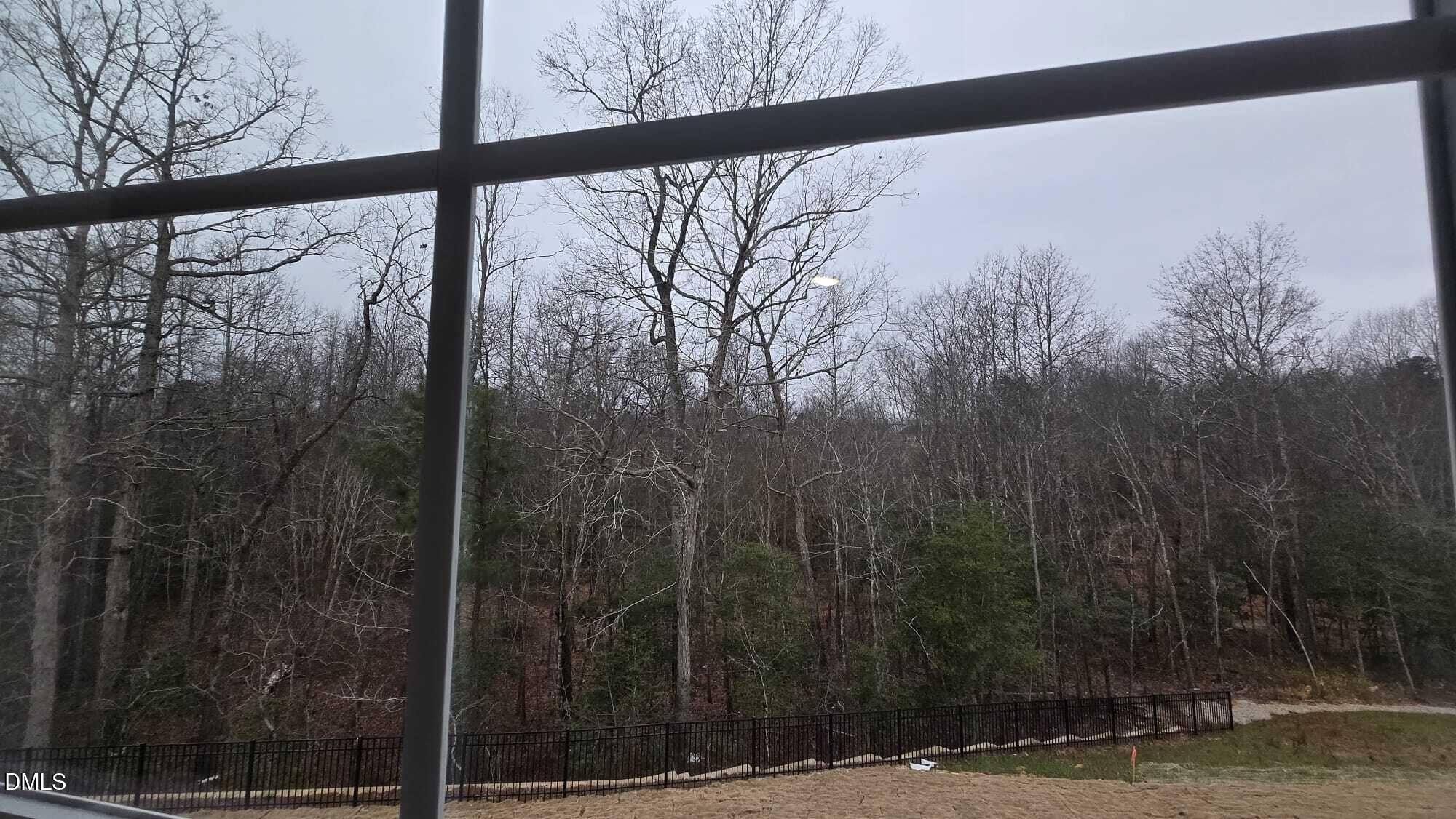 1013 Red Finch Way Angier, NC 27526 - Photo 8 of 36 8