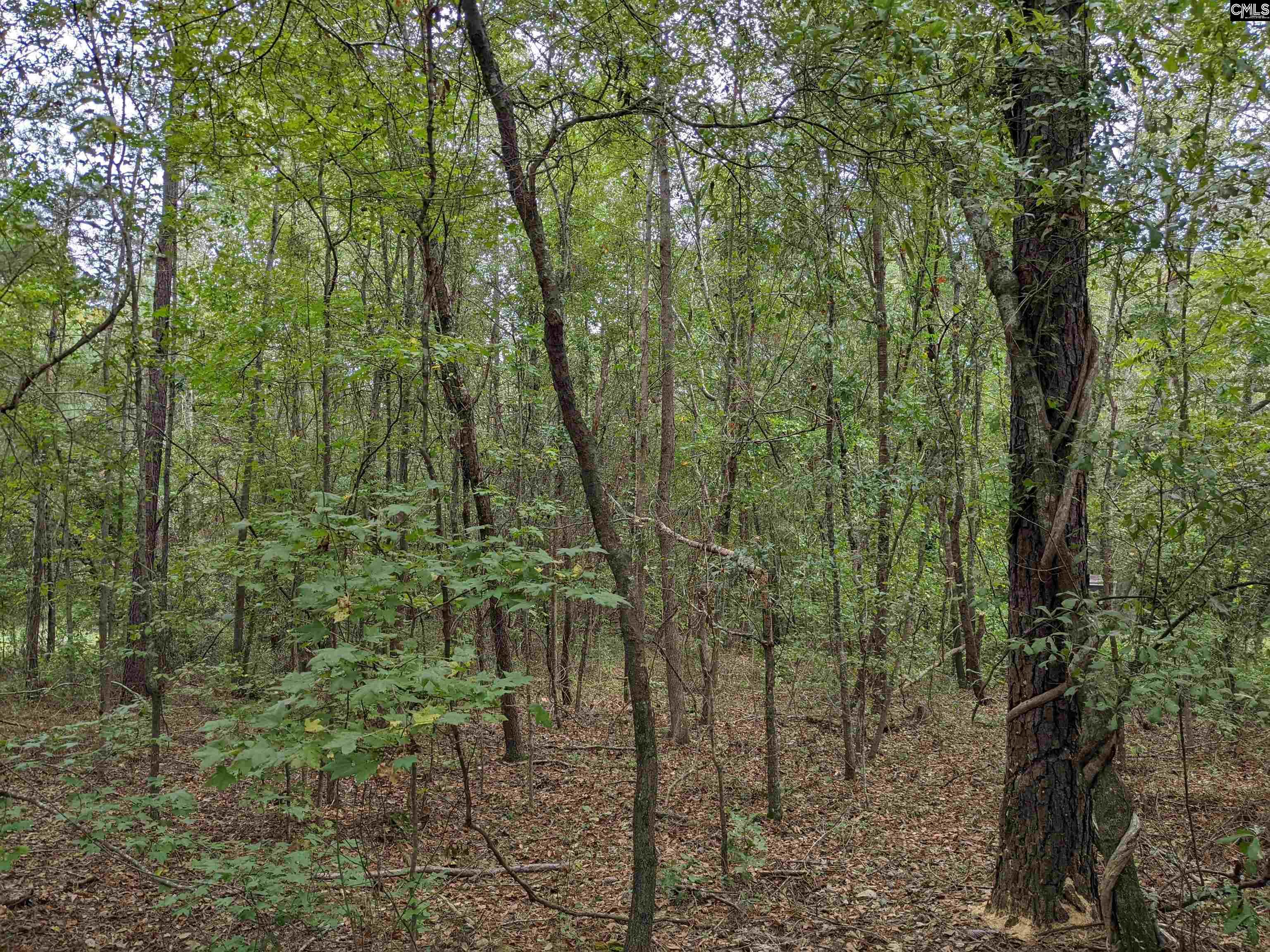 1113 Chappell Creek Road Hopkins, SC 29061 - Photo 2 of 4