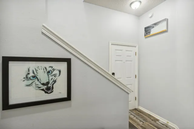 an entryway with a painting on the wall