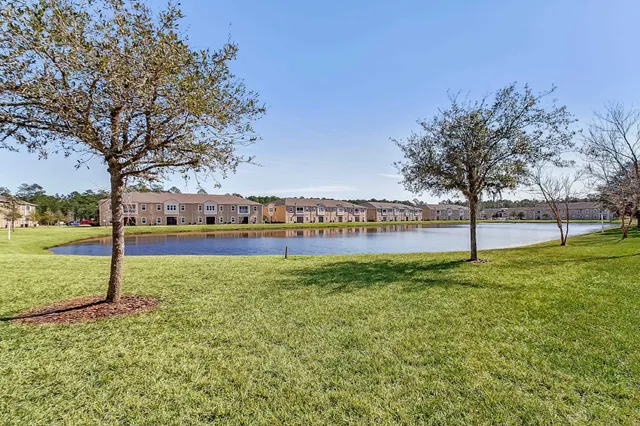 a view of a field with large trees