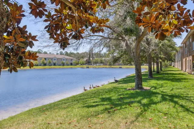 a view of yard with tree