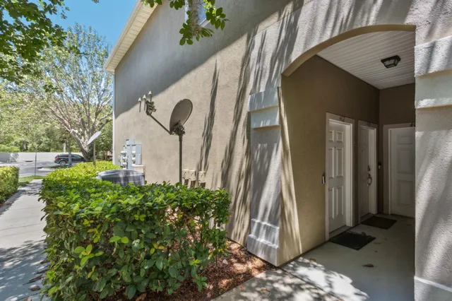 a view of a bird bath