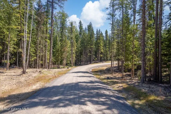 $175,000 | 5 Brown Bear Drive, Nordman, ID 83848