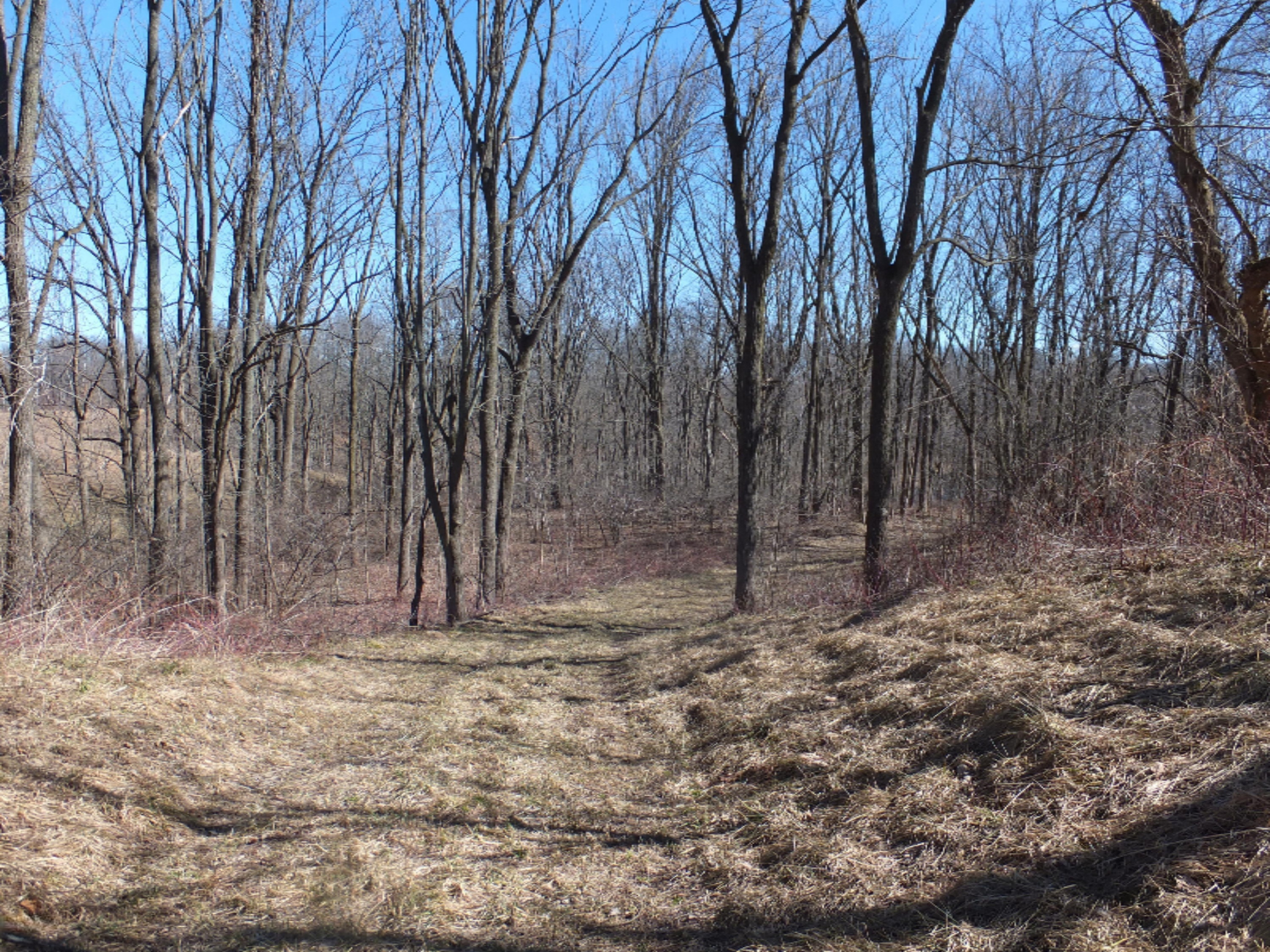 S0040216.JPG