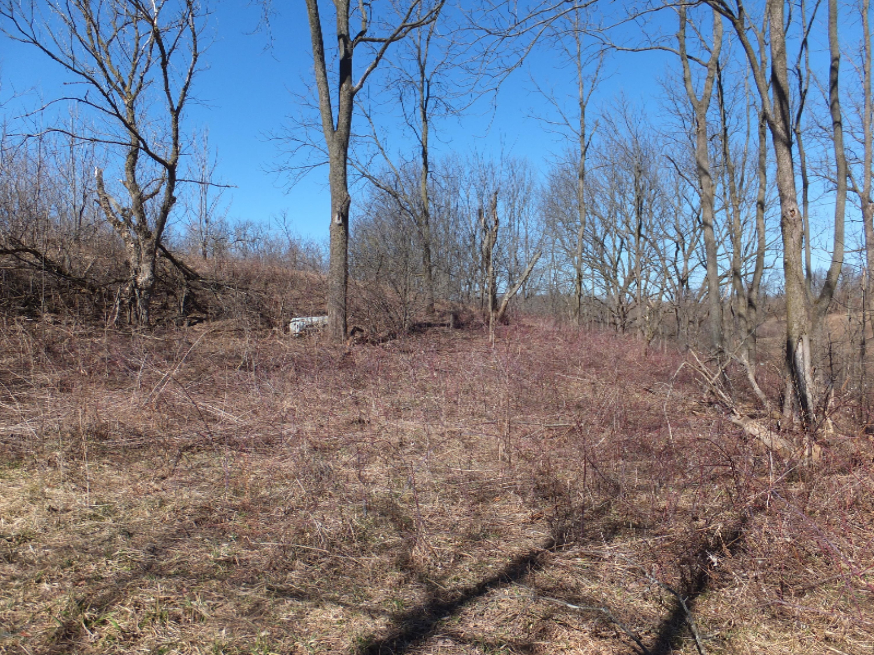 S0060218.JPG