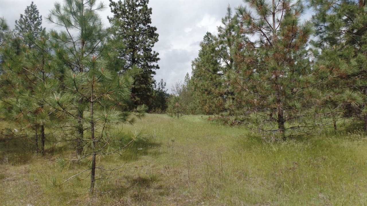 Lot 101 Old Kettle Road Kettle Falls, WA 99141 - Photo 2 of 11 Gallery Image 2
