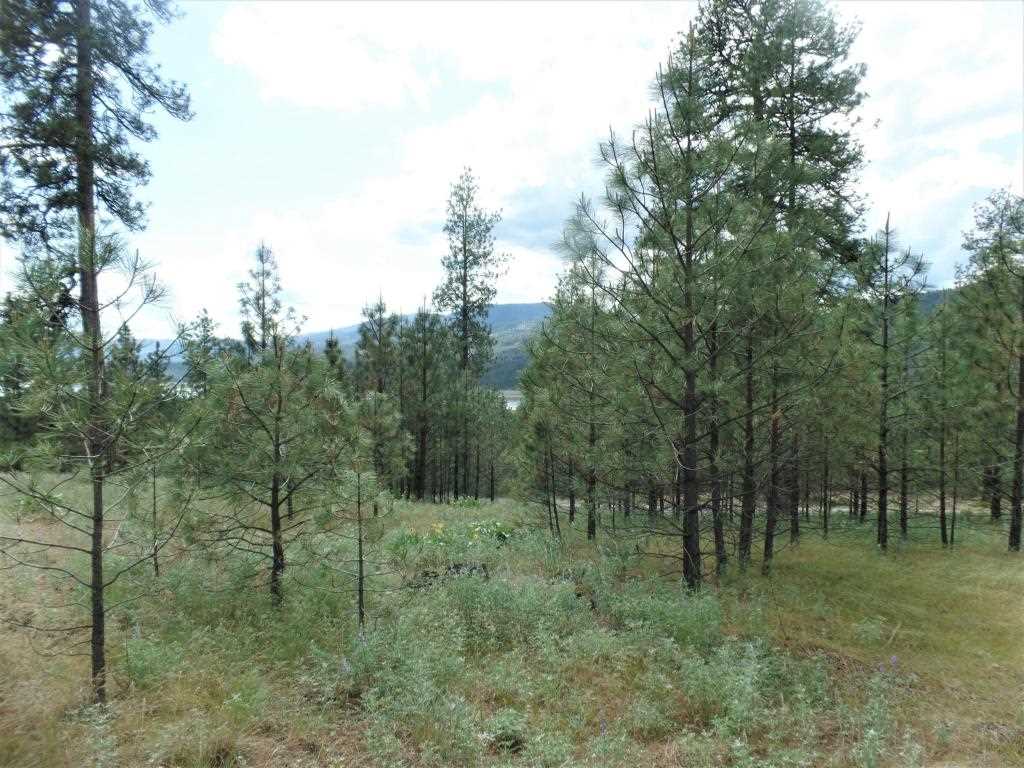 Lot 101 Old Kettle Road Kettle Falls, WA 99141 - Photo 11 of 11 Gallery Image 11