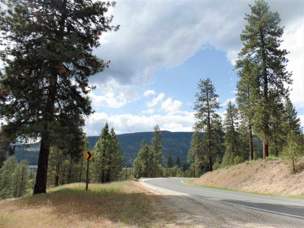 Lot 101 Old Kettle Road Kettle Falls, WA 99141 - Photo 4 of 11 Gallery Image 4