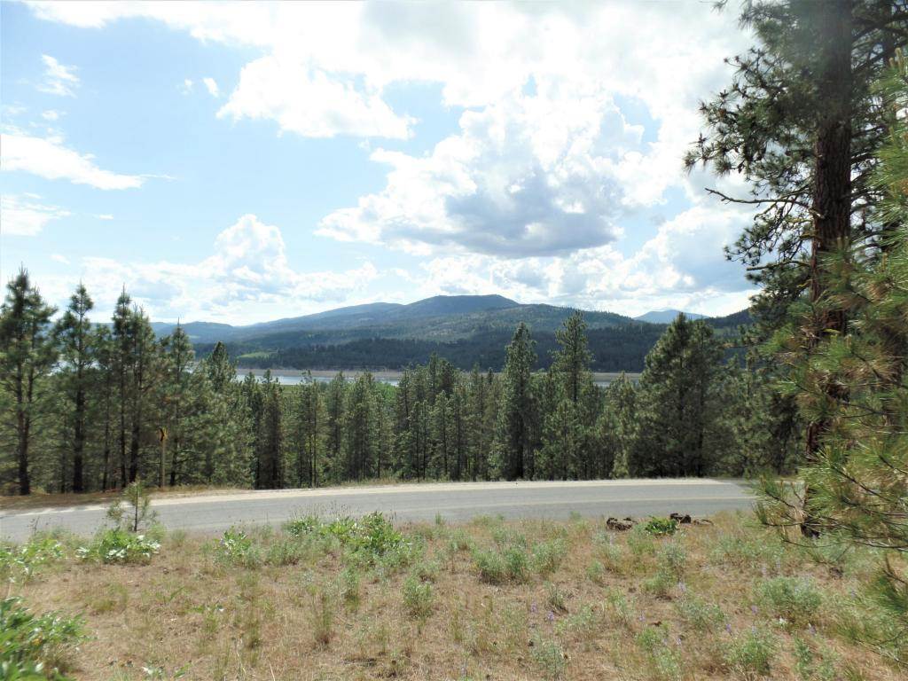 Lot 101 Old Kettle Road Kettle Falls, WA 99141 - Photo 6 of 11 Gallery Image 6