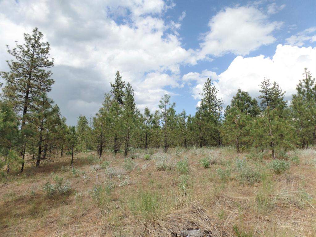 Lot 101 Old Kettle Road Kettle Falls, WA 99141 - Photo 7 of 11 Gallery Image 7