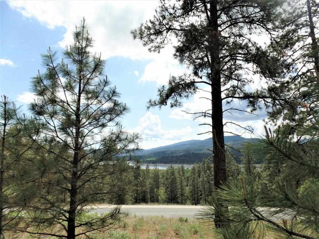 Lot 101 Old Kettle Road Kettle Falls, WA 99141 - Photo 8 of 11 Gallery Image 8