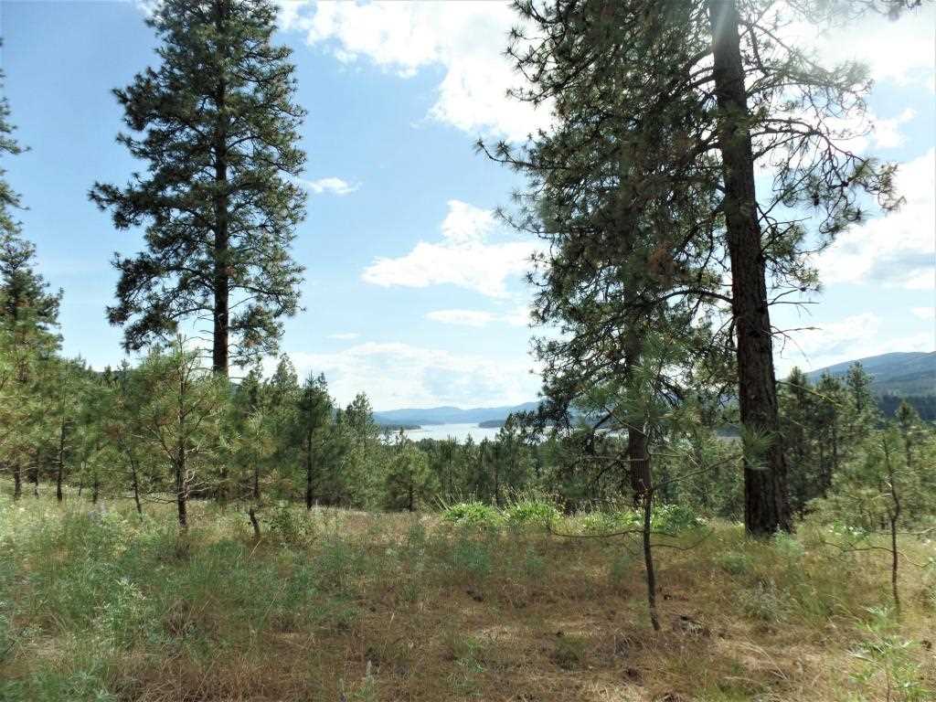 Lot 101 Old Kettle Road Kettle Falls, WA 99141 - Photo 9 of 11 Gallery Image 9