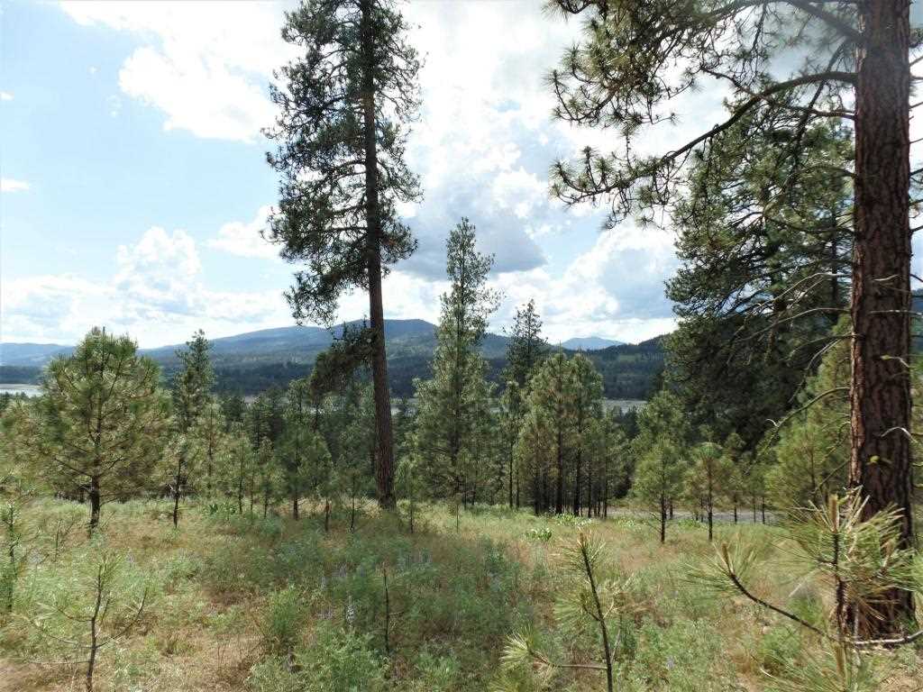 Lot 101 Old Kettle Road Kettle Falls, WA 99141 - Photo 10 of 11 Gallery Image 10