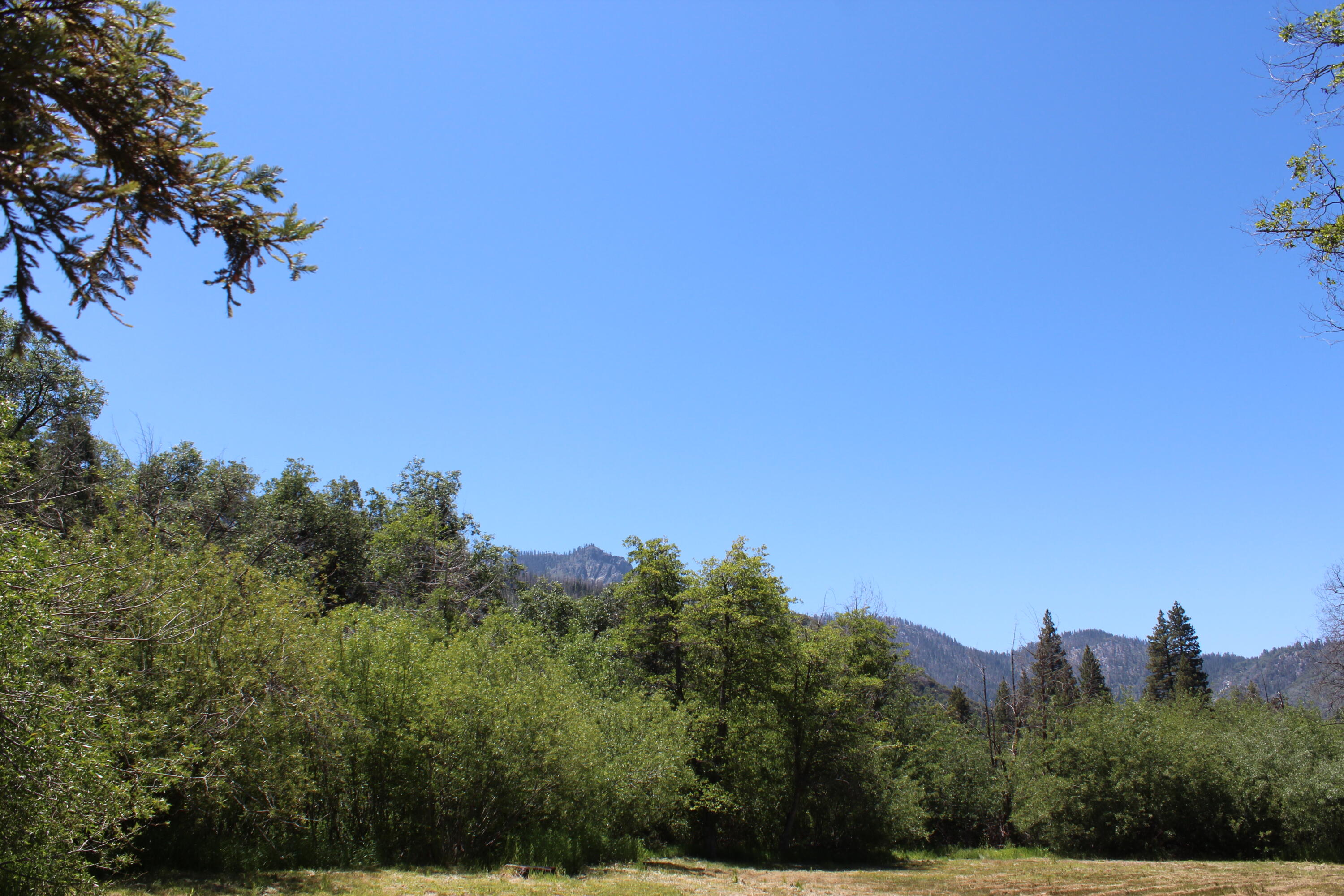 2101 Nelson Drive Springville, CA 93265 - Photo 55 of 59