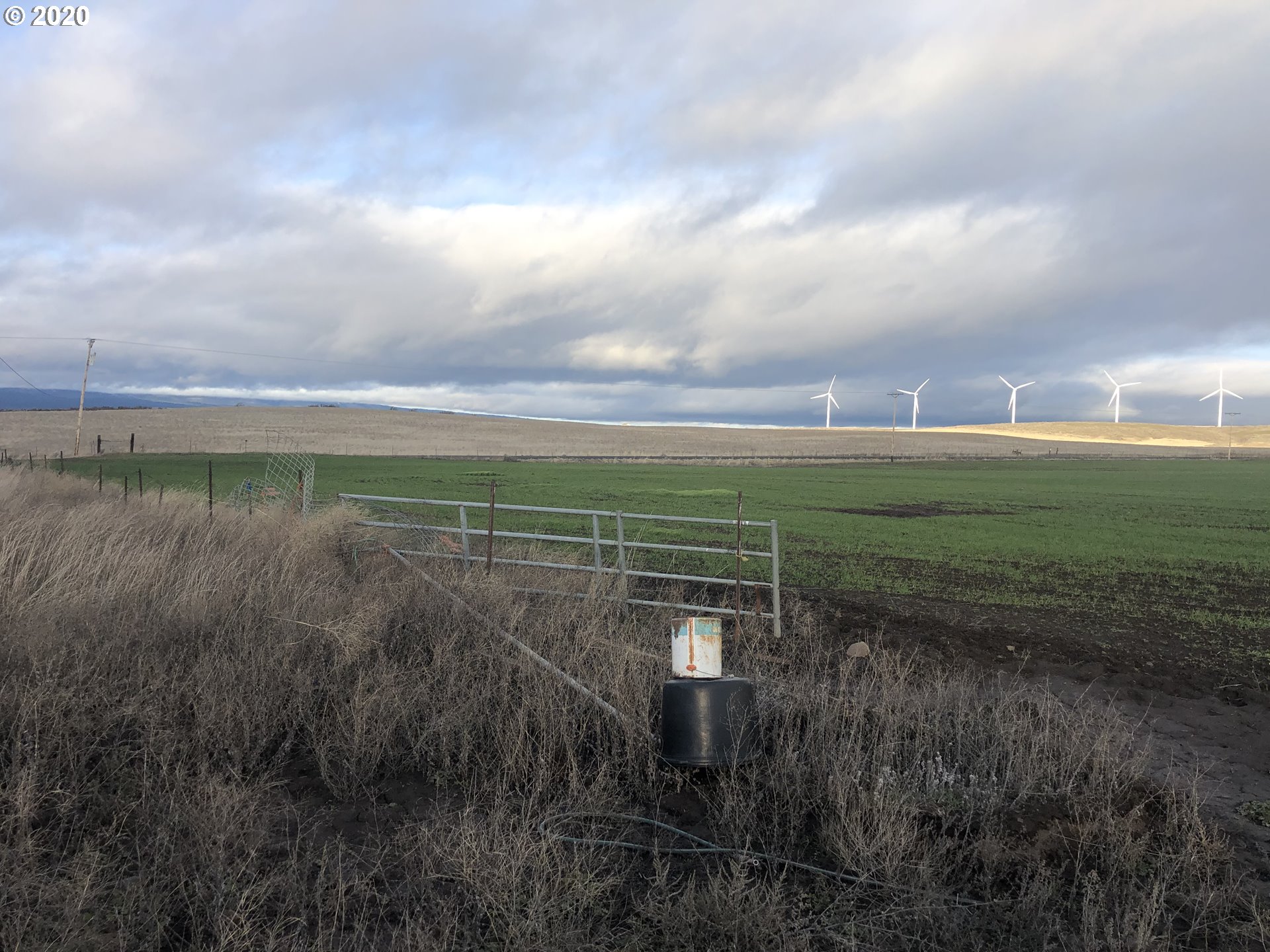 950 Hoctor Road Goldendale, WA 98620 - Photo 7 of 18