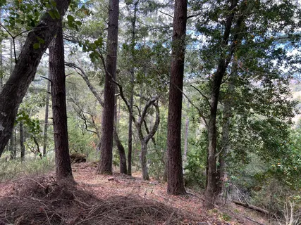 $335,000 | 0 Laurel Avenue, Woodacre, CA 94973