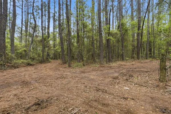 a view of outdoor space with green space