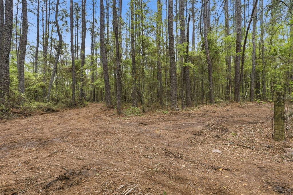 231 Northwest County Road Gainesville, FL 32609 - Photo 11 of 14