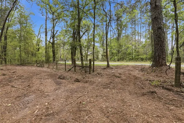 a view of outdoor space with trees