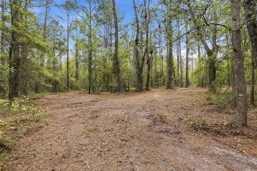 231 Northwest County Road Gainesville, FL 32609 - Photo 13 of 14