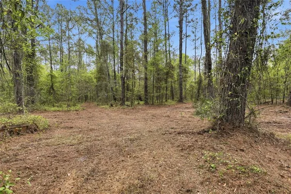 a view of outdoor space with trees