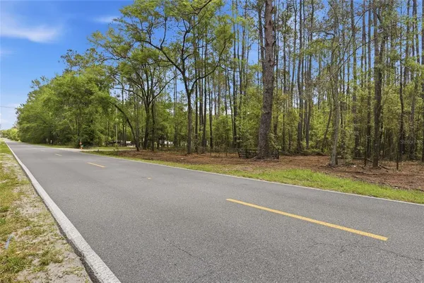 a view of swimming pool with large trees