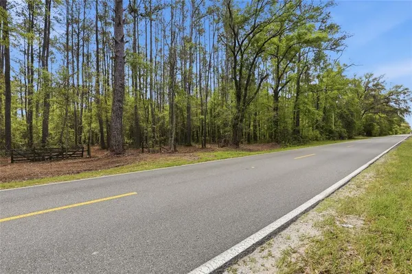 a view of swimming pool with large trees