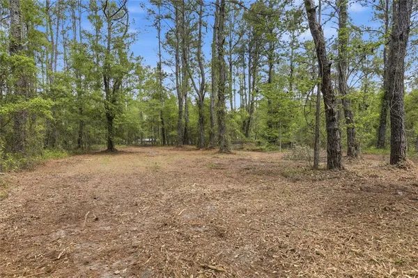 a view of outdoor space with trees