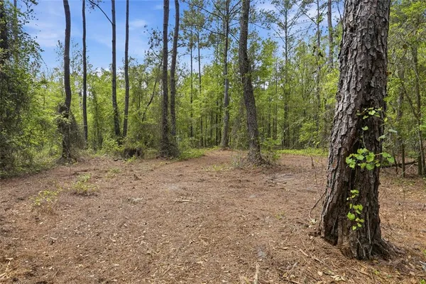 a view of outdoor space and trees
