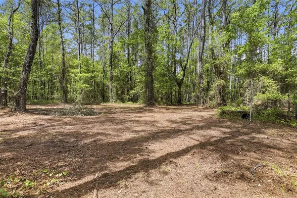 a view of outdoor space with trees