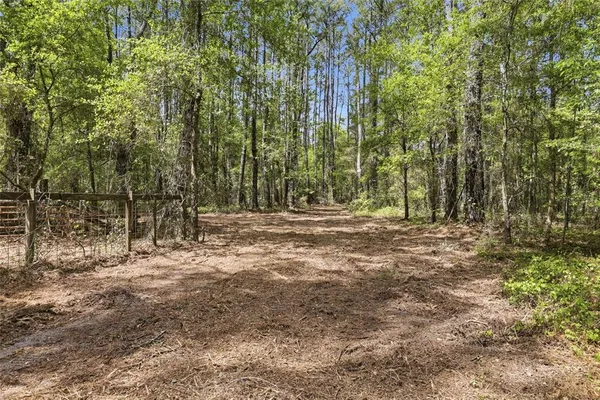 a view of outdoor space with trees