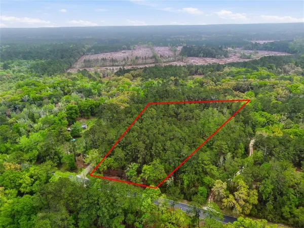 a view of a flower in a garden