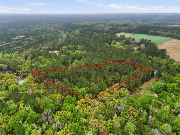 a view of a green field with lots of flower in it