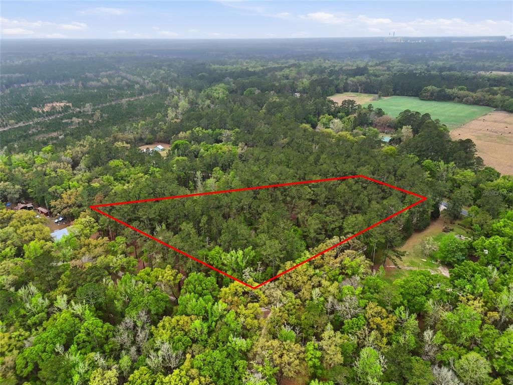 231 Northwest County Road Gainesville, FL 32609 - Photo 4 of 14