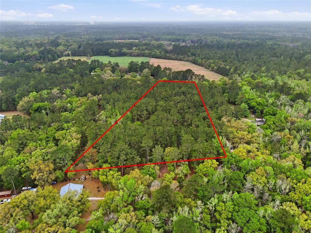 231 Northwest County Road Gainesville, FL 32609 - Photo 5 of 14