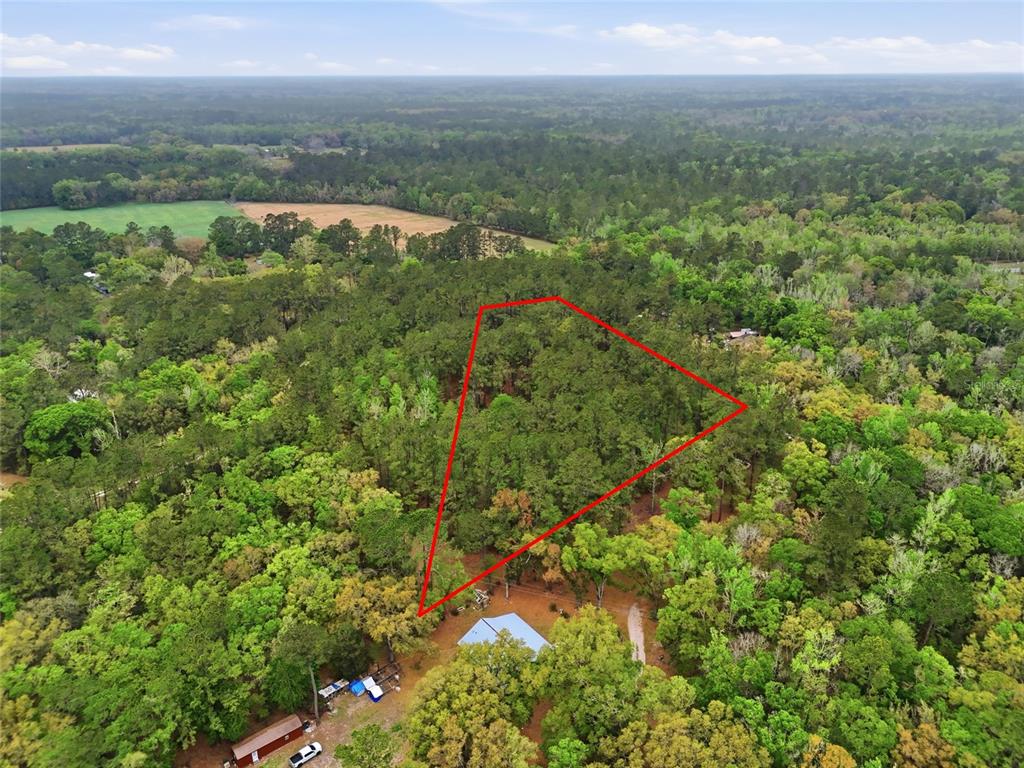 231 Northwest County Road Gainesville, FL 32609 - Photo 6 of 14