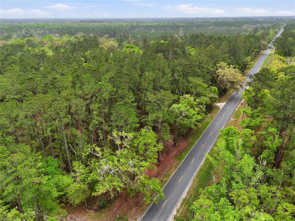 231 Northwest County Road Gainesville, FL 32609 - Photo 7 of 14