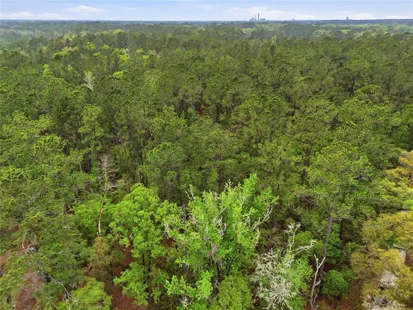 a view of a green field with lots of bushes